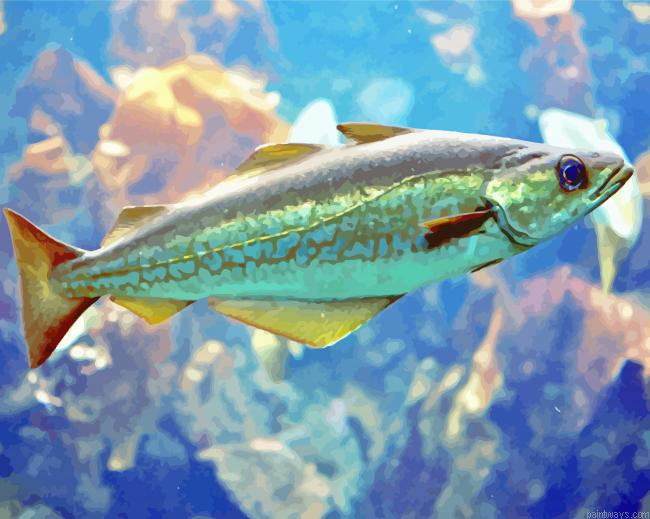Pollock Fish Underwater Painting By Numberss.png