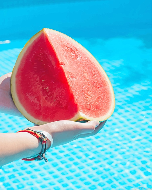 Pool Watermelon New Painting By Numberss.png