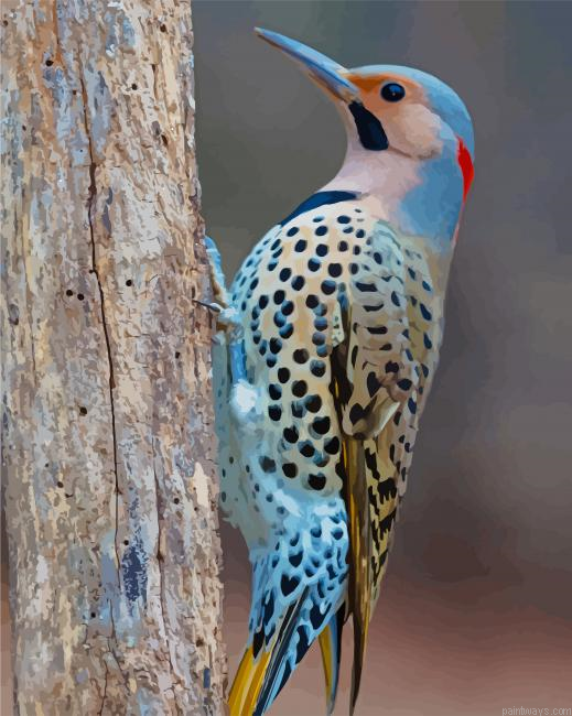 Pretty Bird New Painting By Numberss.png