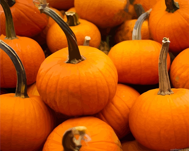 Pumpkin Food Painting By Numberss.png