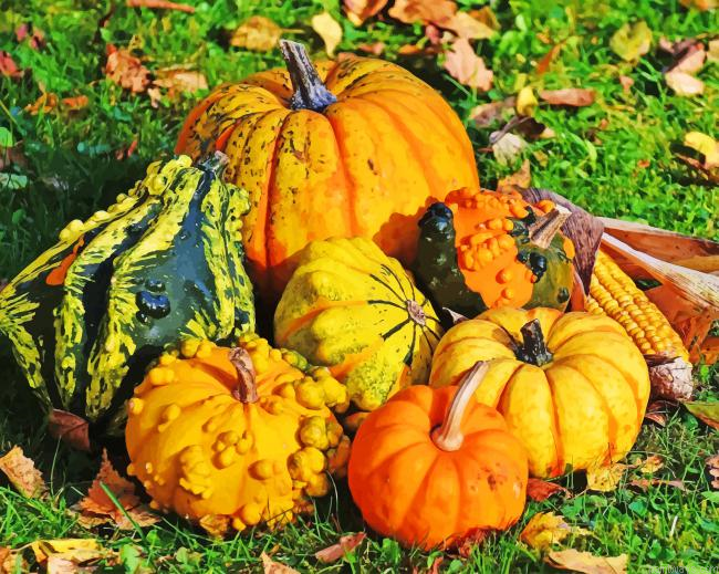Pumpkins New Painting By Numberss.png