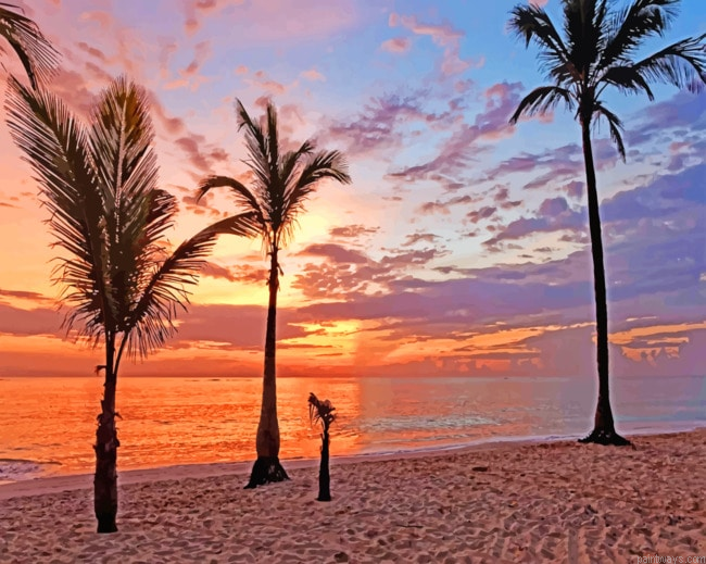 Punta Cana Palms Landscapes Painting By Numberss.png
