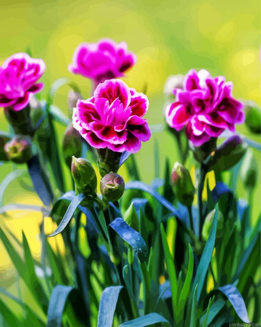 Purple Carnations Painting By Numberss.png