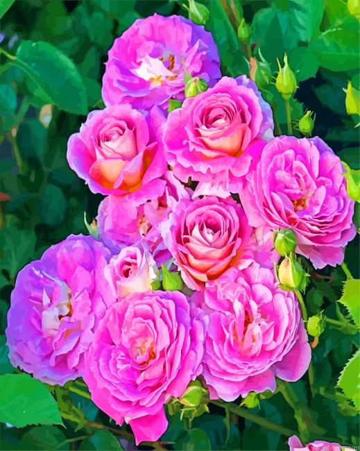 Purple Floribunda Roses Painting By Numberss.png