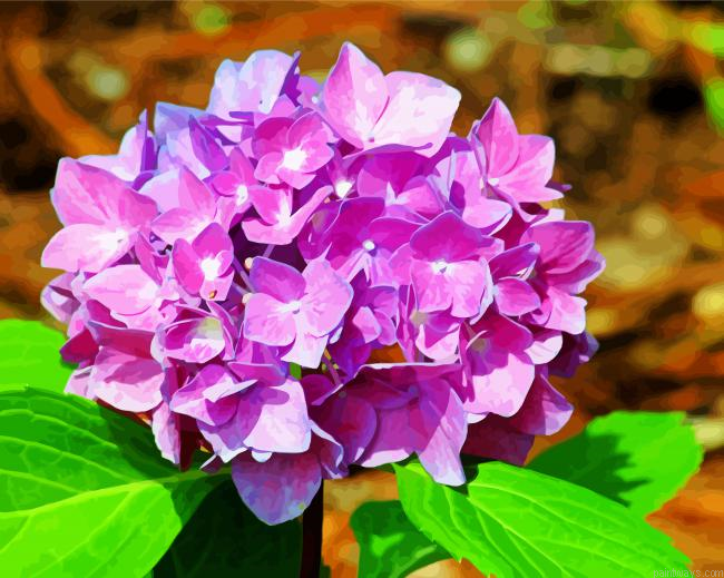 Purple Hydrangeas Painting By Numberss.png