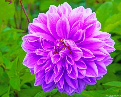 Purple Lilac Flower Painting By Numbers.png