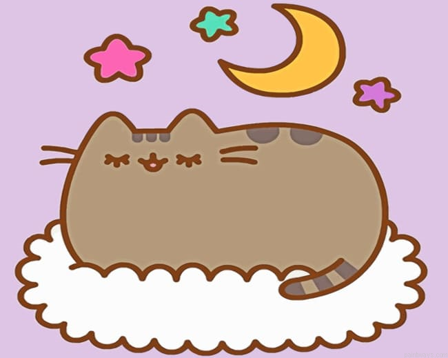 Pusheen The Cat Cartoons Painting By Numberss.png