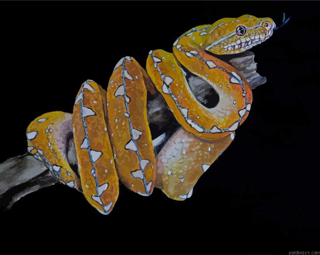 Python Snake Art Painting By Numberss.png