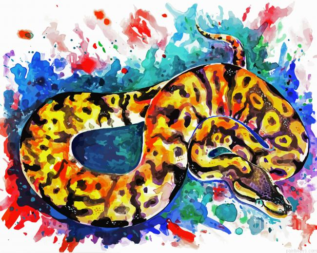 Python Snake Reptile Painting By Numberss.png