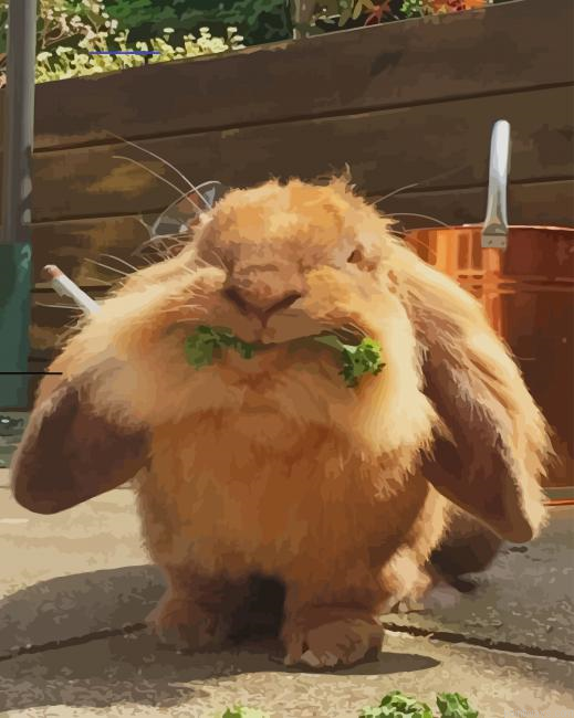 Rabbit Eating New Painting By Numberss.png