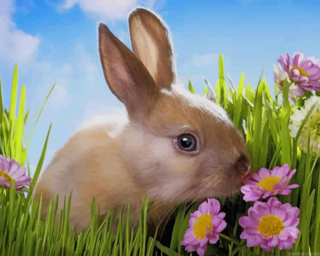 Rabbit Smelling Flowers New Painting By Numberss.png