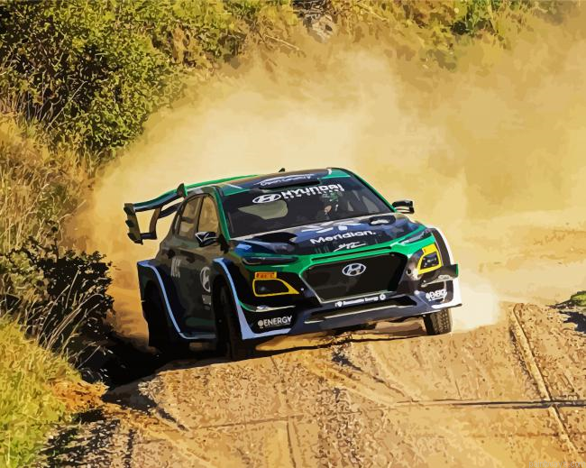 Rally Racing Car Painting By Numberss.png