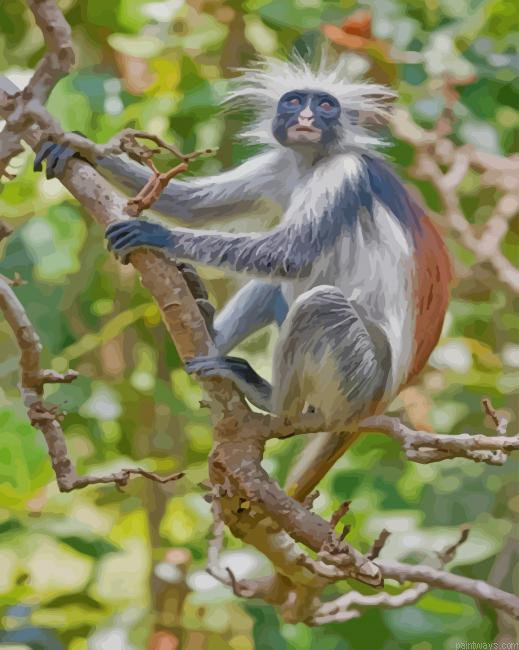Rare Zanzibar Monkey New Painting By Numberss.png