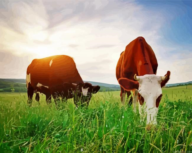 Real Cows Eating Grass Painting By Numberss.png