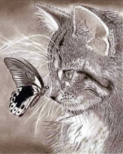 Realistic Cat Drawing Animals Painting By Numberss.png