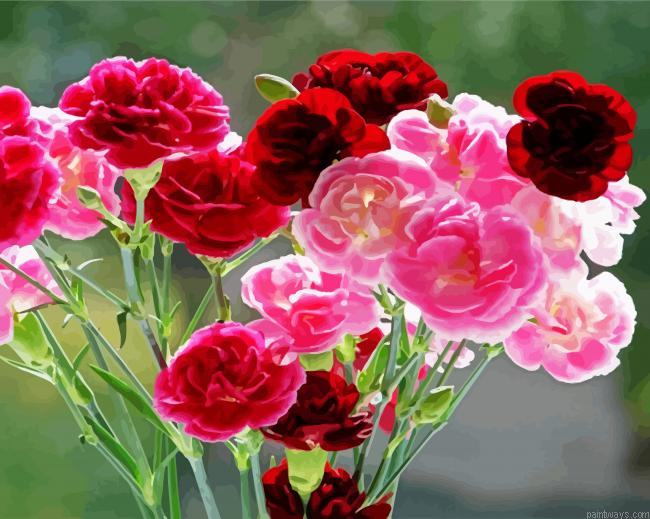Red And Pink Carnations Painting By Numberss.png