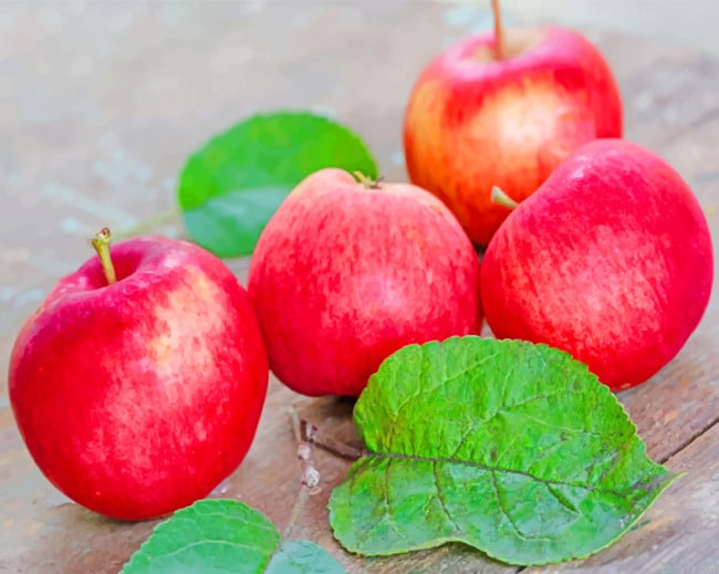 Red Apples Fruits Painting By Numberss.png
