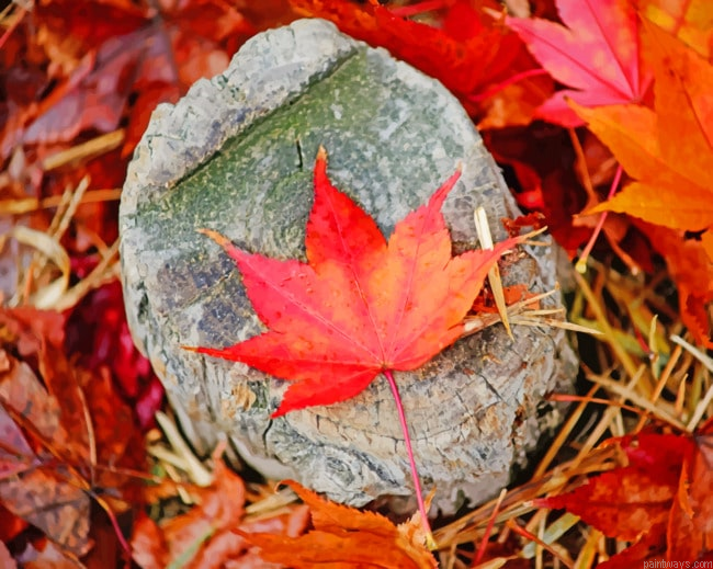 Red Autumn Leaf Painting By Numberss.png