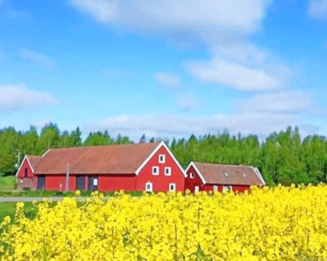 Red Bird Farm New Painting By Numberss.png