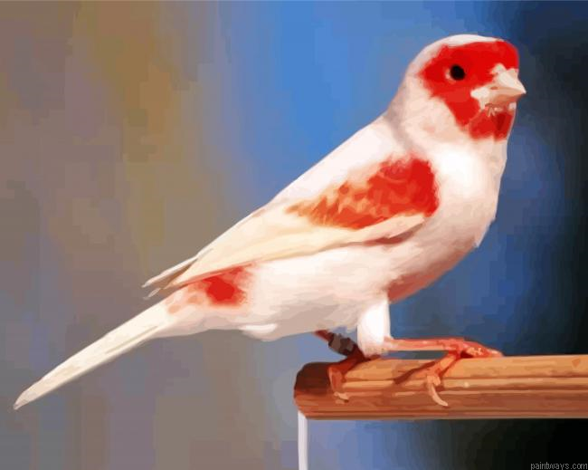 Red Canary Painting By Numbers.png
