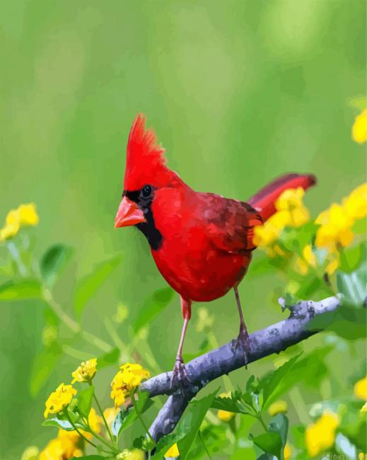 Red Cardinal Bird Painting By Numberss.png