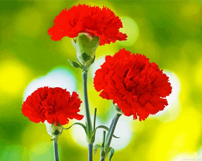 Red Carnation Flowers Painting By Numberss.png