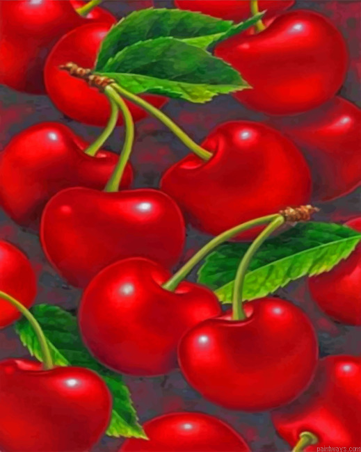 Red Cherry Fruits Painting By Numberss.png