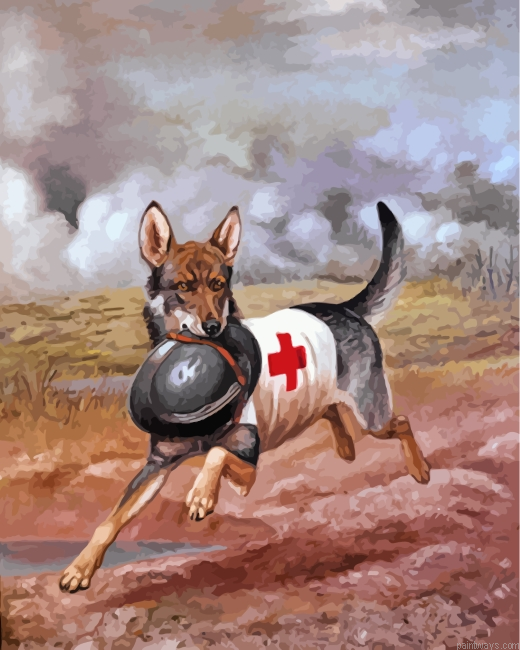 Red Cross Dog Painting By Numbers.png