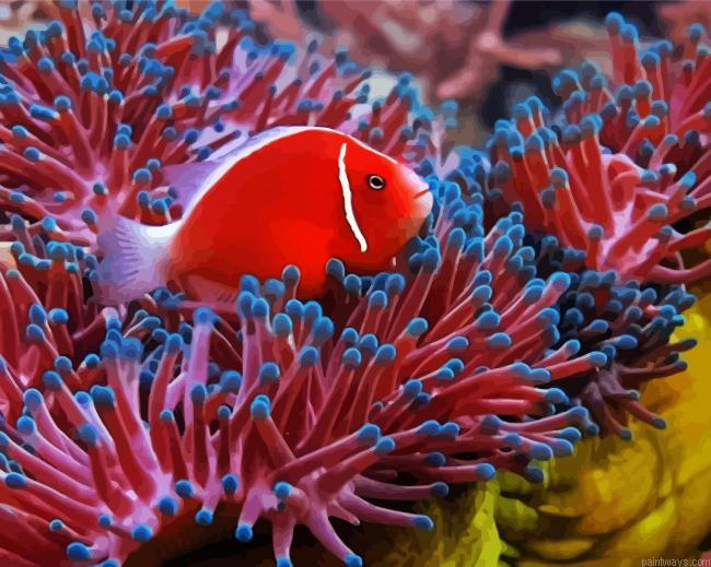 Red Fish Between Anemones Painting By Numberss.png
