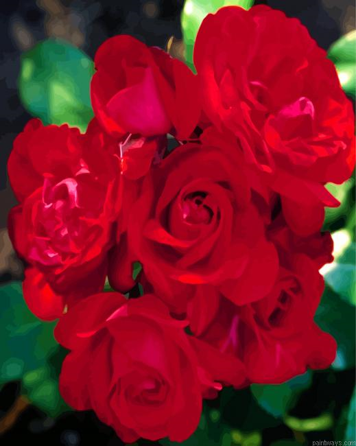 Red Floribunda Roses Painting By Numberss.png