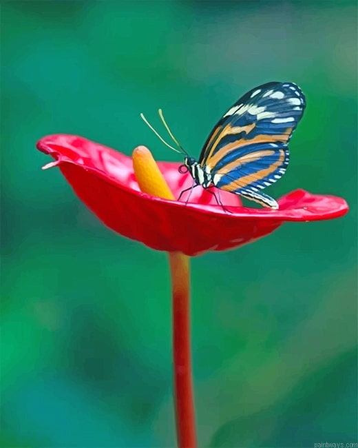 Red Flower Butterfly New Painting By Numberss.png