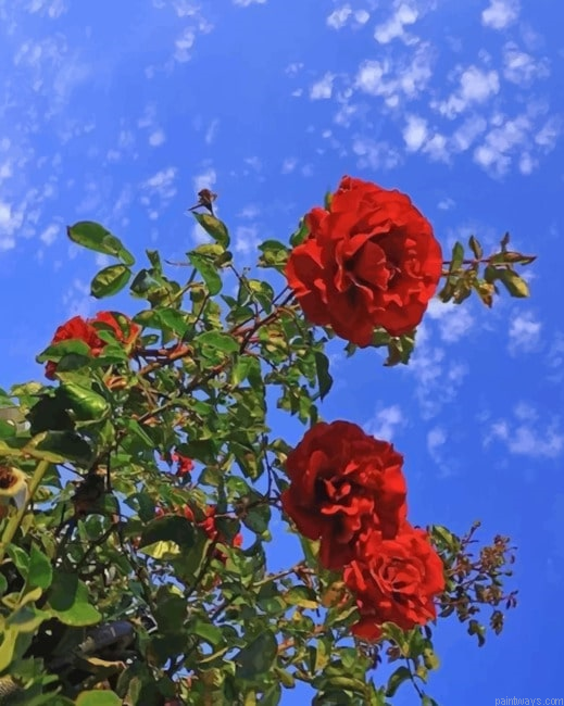 Red Flowers New Painting By Numberss.png