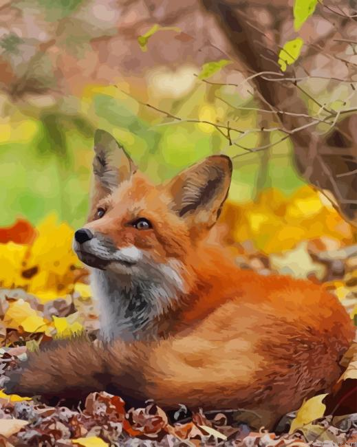 Red Fox In Forest New Painting By Numberss.png