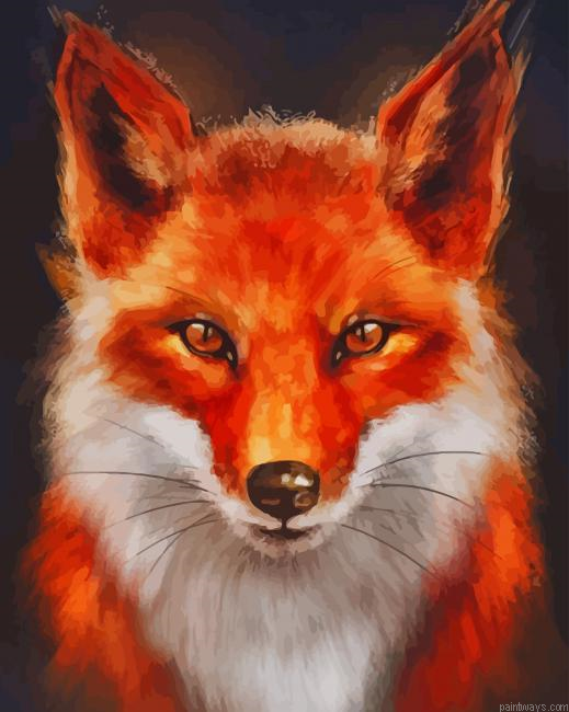 Red Fox New Painting By Numberss.png