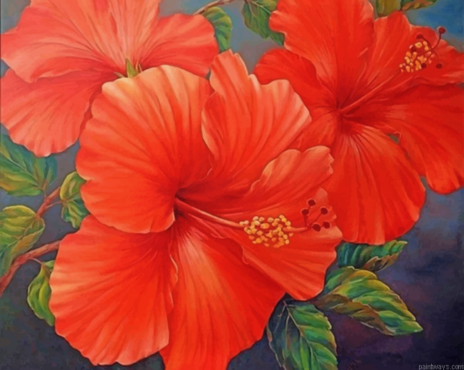 Red Hibiscus Painting By Numbers.png