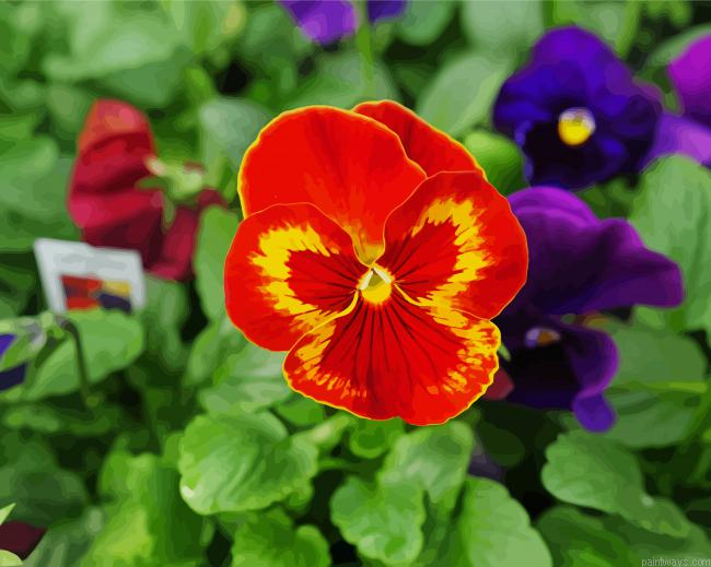 Red Pansy Flower Painting By Numberss.png