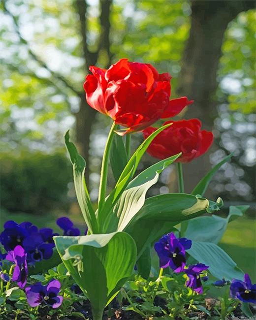 Red Peonies New Painting By Numberss.png