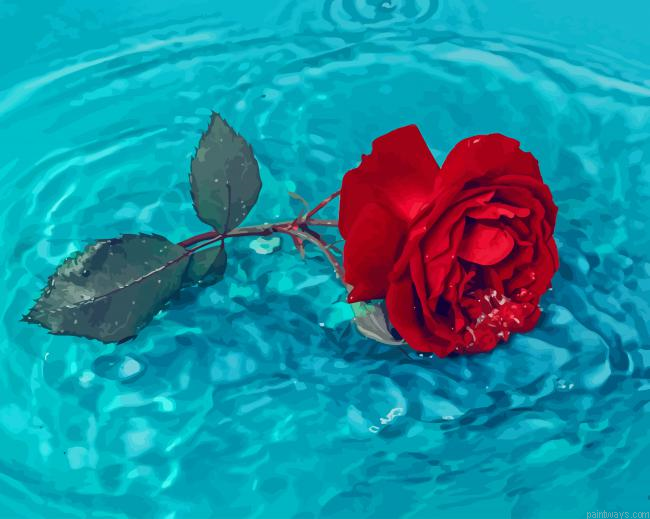 Red Rose In Water New Painting By Numberss.png