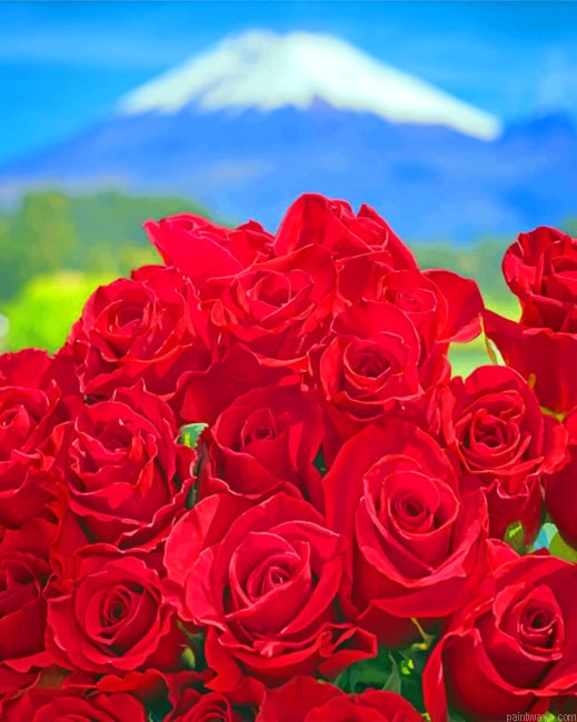 Red Roses Flowers Painting By Numberss.png
