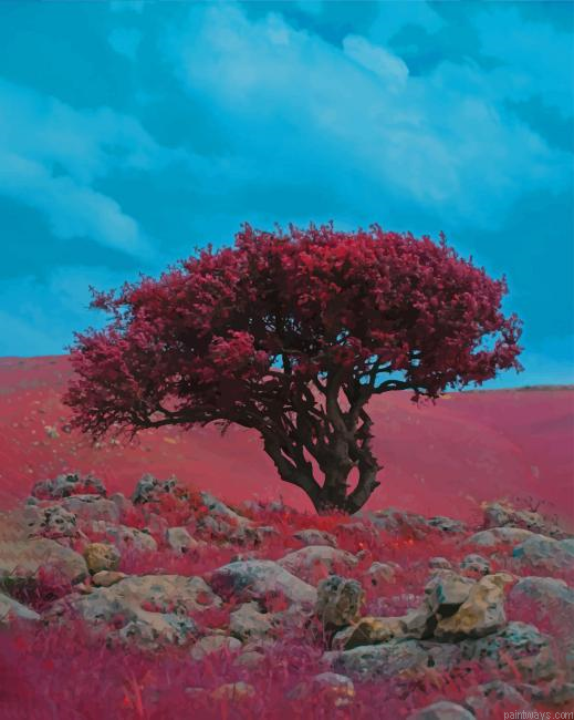 Red Tree New Painting By Numberss.png