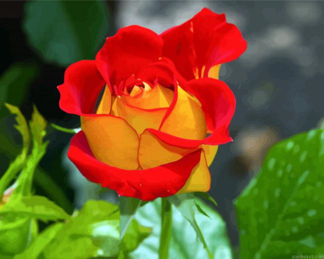 Red Yellow Floribunda Painting By Numberss.png