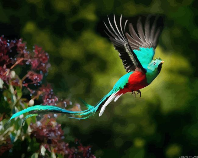 Resplendent Quetzal Flying Painting By Numberss.png