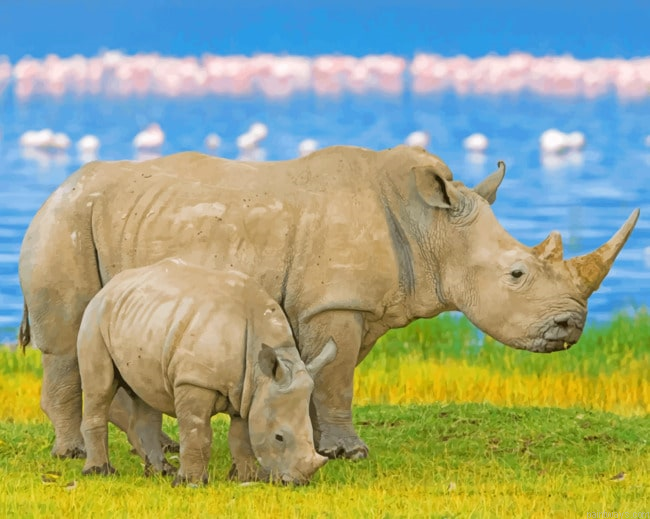 Rhinoceros Painting By Numberss.png