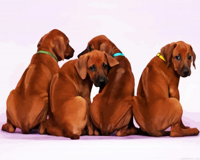Rhodesian Ridgeback Puppies Painting By Numberss.png