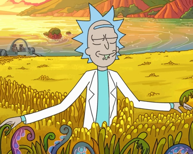 Rick Sanchez In A Field Painting By Numberss.png