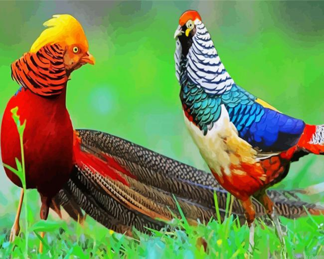 Ring Necked Pheasants Painting By Numberss.png