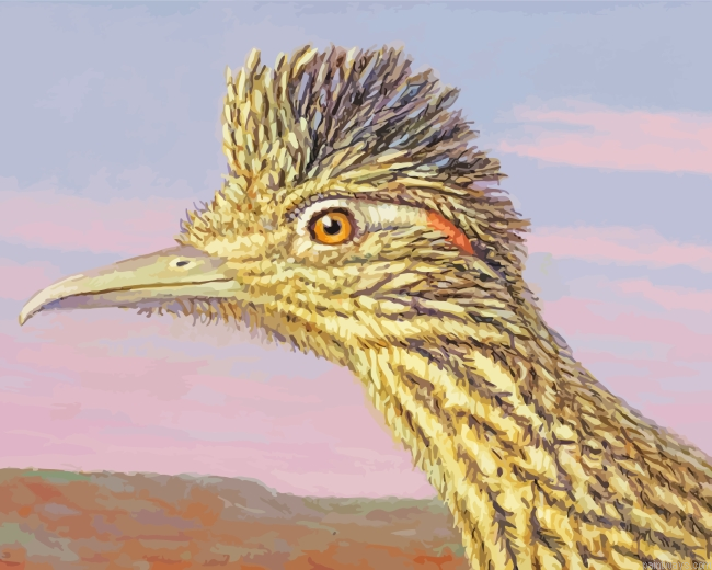 Roadrunner Bird Head Painting By Numberss.png