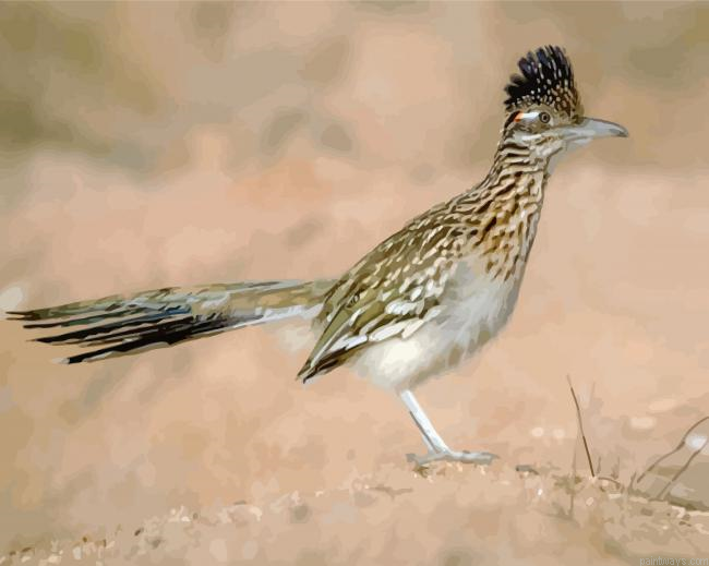Roadrunner In The Desert Painting By Numberss.png