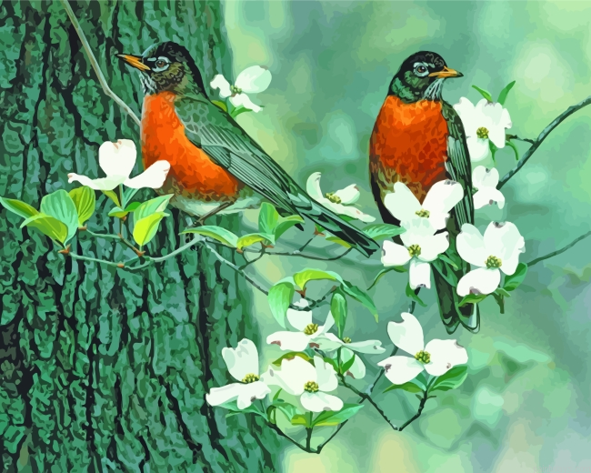 Robin Birds In Spring Painting By Numberss.png