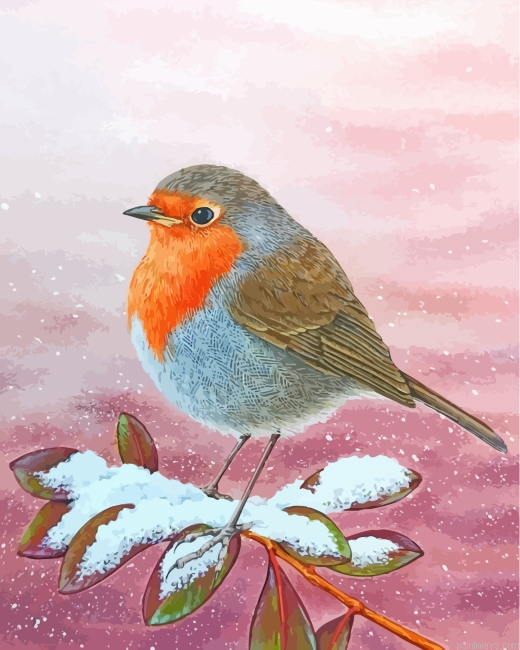 Robin In Snow Painting By Numberss.png